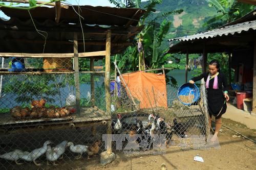 Điện Biên: Người dân bản tái định cư Huổi Lóng 'ngóng' đất sản xuất